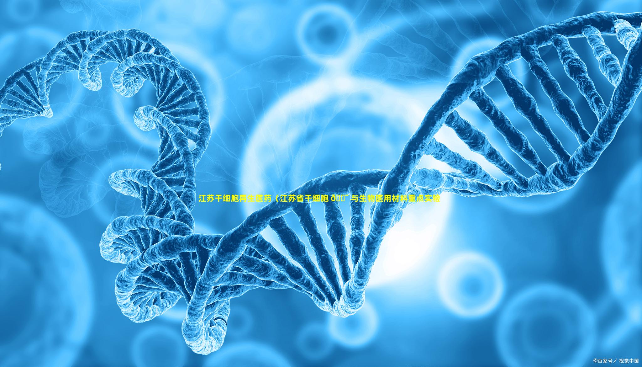 江苏干细胞再生医药（江苏省干细胞 🐯 与生物医用材料重点实验室）